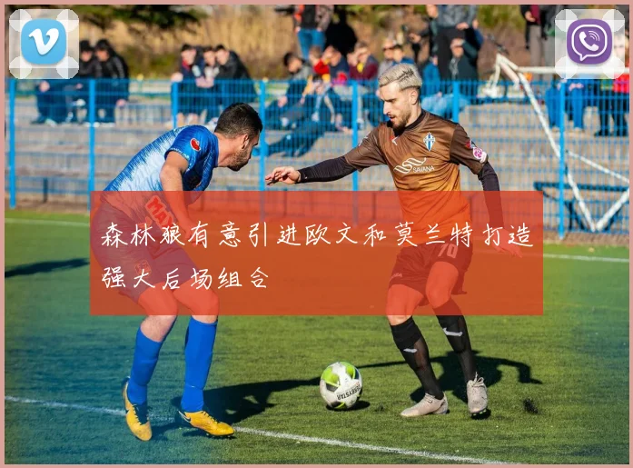 森林狼有意引进欧文和莫兰特打造强大后场组合