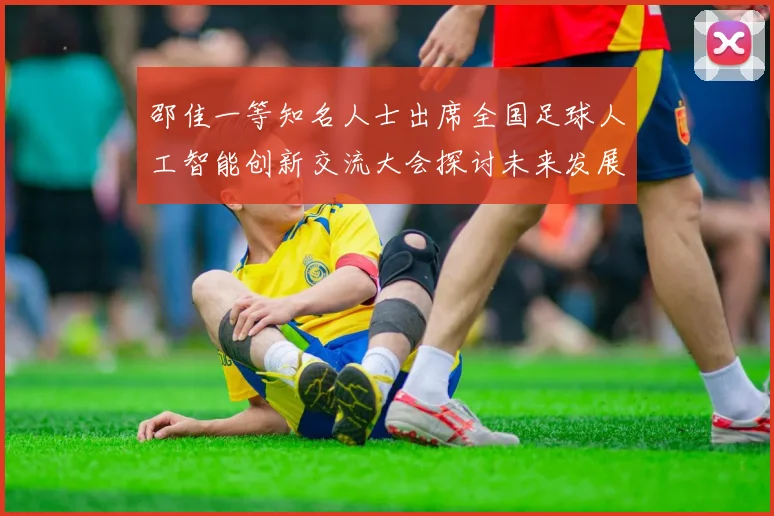 邵佳一等知名人士出席全国足球人工智能创新交流大会探讨未来发展方向